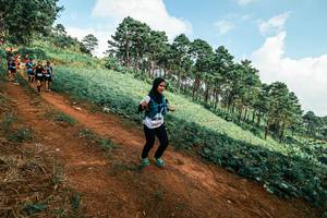 BIB: 
                            <button type="button" onclick="openModal(25508639)" class="btn btn-primary btn-sm float-right btn-popup" data-toggle="modal" data-target=".modal-high-quality">
                        <i class="fas fa-shopping-cart"></i> Add to Cart
                    </button>
                                            <button type="button" onclick="isThisMe(25508639, true)" class="btn btn-success btn-sm float-right btn-popup btn-isme hidden" data-toggle="tooltip" data-placement="bottom" title="นี่คือรูปของคุณใช่ไหม คลิกที่นี่เพื่อเอาเข้าอัลบั้ม">
                        <i class="fas fa-plus"></i> Add to album
                    </button>
                    <button type="button" onclick="isThisMe(25508639, false)" class="btn btn-warning btn-sm float-right btn-popup btn-isnotme hidden">
                        <i class="fas fa-ban"></i> Remove from album
                    </button>