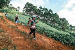 BIB: 
                            <button type="button" onclick="openModal(25510854)" class="btn btn-primary btn-sm float-right btn-popup" data-toggle="modal" data-target=".modal-high-quality">
                        <i class="fas fa-shopping-cart"></i> Add to Cart
                    </button>
                                            <button type="button" onclick="isThisMe(25510854, true)" class="btn btn-success btn-sm float-right btn-popup btn-isme hidden" data-toggle="tooltip" data-placement="bottom" title="นี่คือรูปของคุณใช่ไหม คลิกที่นี่เพื่อเอาเข้าอัลบั้ม">
                        <i class="fas fa-plus"></i> Add to album
                    </button>
                    <button type="button" onclick="isThisMe(25510854, false)" class="btn btn-warning btn-sm float-right btn-popup btn-isnotme hidden">
                        <i class="fas fa-ban"></i> Remove from album
                    </button>