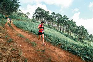 BIB: 
                            <button type="button" onclick="openModal(25508890)" class="btn btn-primary btn-sm float-right btn-popup" data-toggle="modal" data-target=".modal-high-quality">
                        <i class="fas fa-shopping-cart"></i> Add to Cart
                    </button>
                                            <button type="button" onclick="isThisMe(25508890, true)" class="btn btn-success btn-sm float-right btn-popup btn-isme hidden" data-toggle="tooltip" data-placement="bottom" title="นี่คือรูปของคุณใช่ไหม คลิกที่นี่เพื่อเอาเข้าอัลบั้ม">
                        <i class="fas fa-plus"></i> Add to album
                    </button>
                    <button type="button" onclick="isThisMe(25508890, false)" class="btn btn-warning btn-sm float-right btn-popup btn-isnotme hidden">
                        <i class="fas fa-ban"></i> Remove from album
                    </button>