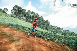 BIB: 
                            <button type="button" onclick="openModal(25506604)" class="btn btn-primary btn-sm float-right btn-popup" data-toggle="modal" data-target=".modal-high-quality">
                        <i class="fas fa-shopping-cart"></i> Add to Cart
                    </button>
                                            <button type="button" onclick="isThisMe(25506604, true)" class="btn btn-success btn-sm float-right btn-popup btn-isme hidden" data-toggle="tooltip" data-placement="bottom" title="นี่คือรูปของคุณใช่ไหม คลิกที่นี่เพื่อเอาเข้าอัลบั้ม">
                        <i class="fas fa-plus"></i> Add to album
                    </button>
                    <button type="button" onclick="isThisMe(25506604, false)" class="btn btn-warning btn-sm float-right btn-popup btn-isnotme hidden">
                        <i class="fas fa-ban"></i> Remove from album
                    </button>