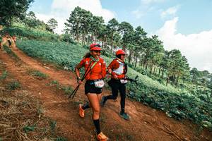 BIB: 
                            <button type="button" onclick="openModal(25508782)" class="btn btn-primary btn-sm float-right btn-popup" data-toggle="modal" data-target=".modal-high-quality">
                        <i class="fas fa-shopping-cart"></i> Add to Cart
                    </button>
                                            <button type="button" onclick="isThisMe(25508782, true)" class="btn btn-success btn-sm float-right btn-popup btn-isme hidden" data-toggle="tooltip" data-placement="bottom" title="นี่คือรูปของคุณใช่ไหม คลิกที่นี่เพื่อเอาเข้าอัลบั้ม">
                        <i class="fas fa-plus"></i> Add to album
                    </button>
                    <button type="button" onclick="isThisMe(25508782, false)" class="btn btn-warning btn-sm float-right btn-popup btn-isnotme hidden">
                        <i class="fas fa-ban"></i> Remove from album
                    </button>