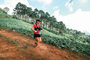 BIB: 
                            <button type="button" onclick="openModal(25508913)" class="btn btn-primary btn-sm float-right btn-popup" data-toggle="modal" data-target=".modal-high-quality">
                        <i class="fas fa-shopping-cart"></i> Add to Cart
                    </button>
                                            <button type="button" onclick="isThisMe(25508913, true)" class="btn btn-success btn-sm float-right btn-popup btn-isme hidden" data-toggle="tooltip" data-placement="bottom" title="นี่คือรูปของคุณใช่ไหม คลิกที่นี่เพื่อเอาเข้าอัลบั้ม">
                        <i class="fas fa-plus"></i> Add to album
                    </button>
                    <button type="button" onclick="isThisMe(25508913, false)" class="btn btn-warning btn-sm float-right btn-popup btn-isnotme hidden">
                        <i class="fas fa-ban"></i> Remove from album
                    </button>