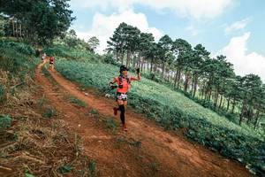 BIB: 
                            <button type="button" onclick="openModal(25508849)" class="btn btn-primary btn-sm float-right btn-popup" data-toggle="modal" data-target=".modal-high-quality">
                        <i class="fas fa-shopping-cart"></i> Add to Cart
                    </button>
                                            <button type="button" onclick="isThisMe(25508849, true)" class="btn btn-success btn-sm float-right btn-popup btn-isme hidden" data-toggle="tooltip" data-placement="bottom" title="นี่คือรูปของคุณใช่ไหม คลิกที่นี่เพื่อเอาเข้าอัลบั้ม">
                        <i class="fas fa-plus"></i> Add to album
                    </button>
                    <button type="button" onclick="isThisMe(25508849, false)" class="btn btn-warning btn-sm float-right btn-popup btn-isnotme hidden">
                        <i class="fas fa-ban"></i> Remove from album
                    </button>