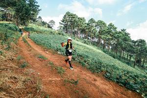 BIB: 
                            <button type="button" onclick="openModal(25508300)" class="btn btn-primary btn-sm float-right btn-popup" data-toggle="modal" data-target=".modal-high-quality">
                        <i class="fas fa-shopping-cart"></i> Add to Cart
                    </button>
                                            <button type="button" onclick="isThisMe(25508300, true)" class="btn btn-success btn-sm float-right btn-popup btn-isme hidden" data-toggle="tooltip" data-placement="bottom" title="นี่คือรูปของคุณใช่ไหม คลิกที่นี่เพื่อเอาเข้าอัลบั้ม">
                        <i class="fas fa-plus"></i> Add to album
                    </button>
                    <button type="button" onclick="isThisMe(25508300, false)" class="btn btn-warning btn-sm float-right btn-popup btn-isnotme hidden">
                        <i class="fas fa-ban"></i> Remove from album
                    </button>