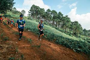 BIB: 
                            <button type="button" onclick="openModal(25508670)" class="btn btn-primary btn-sm float-right btn-popup" data-toggle="modal" data-target=".modal-high-quality">
                        <i class="fas fa-shopping-cart"></i> Add to Cart
                    </button>
                                            <button type="button" onclick="isThisMe(25508670, true)" class="btn btn-success btn-sm float-right btn-popup btn-isme hidden" data-toggle="tooltip" data-placement="bottom" title="นี่คือรูปของคุณใช่ไหม คลิกที่นี่เพื่อเอาเข้าอัลบั้ม">
                        <i class="fas fa-plus"></i> Add to album
                    </button>
                    <button type="button" onclick="isThisMe(25508670, false)" class="btn btn-warning btn-sm float-right btn-popup btn-isnotme hidden">
                        <i class="fas fa-ban"></i> Remove from album
                    </button>