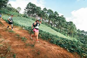 BIB: 
                            <button type="button" onclick="openModal(25513745)" class="btn btn-primary btn-sm float-right btn-popup" data-toggle="modal" data-target=".modal-high-quality">
                        <i class="fas fa-shopping-cart"></i> Add to Cart
                    </button>
                                            <button type="button" onclick="isThisMe(25513745, true)" class="btn btn-success btn-sm float-right btn-popup btn-isme hidden" data-toggle="tooltip" data-placement="bottom" title="นี่คือรูปของคุณใช่ไหม คลิกที่นี่เพื่อเอาเข้าอัลบั้ม">
                        <i class="fas fa-plus"></i> Add to album
                    </button>
                    <button type="button" onclick="isThisMe(25513745, false)" class="btn btn-warning btn-sm float-right btn-popup btn-isnotme hidden">
                        <i class="fas fa-ban"></i> Remove from album
                    </button>