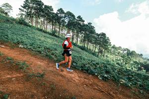 BIB: 
                            <button type="button" onclick="openModal(25514873)" class="btn btn-primary btn-sm float-right btn-popup" data-toggle="modal" data-target=".modal-high-quality">
                        <i class="fas fa-shopping-cart"></i> Add to Cart
                    </button>
                                            <button type="button" onclick="isThisMe(25514873, true)" class="btn btn-success btn-sm float-right btn-popup btn-isme hidden" data-toggle="tooltip" data-placement="bottom" title="นี่คือรูปของคุณใช่ไหม คลิกที่นี่เพื่อเอาเข้าอัลบั้ม">
                        <i class="fas fa-plus"></i> Add to album
                    </button>
                    <button type="button" onclick="isThisMe(25514873, false)" class="btn btn-warning btn-sm float-right btn-popup btn-isnotme hidden">
                        <i class="fas fa-ban"></i> Remove from album
                    </button>