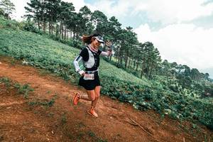 BIB: 
                            <button type="button" onclick="openModal(25506078)" class="btn btn-primary btn-sm float-right btn-popup" data-toggle="modal" data-target=".modal-high-quality">
                        <i class="fas fa-shopping-cart"></i> Add to Cart
                    </button>
                                            <button type="button" onclick="isThisMe(25506078, true)" class="btn btn-success btn-sm float-right btn-popup btn-isme hidden" data-toggle="tooltip" data-placement="bottom" title="นี่คือรูปของคุณใช่ไหม คลิกที่นี่เพื่อเอาเข้าอัลบั้ม">
                        <i class="fas fa-plus"></i> Add to album
                    </button>
                    <button type="button" onclick="isThisMe(25506078, false)" class="btn btn-warning btn-sm float-right btn-popup btn-isnotme hidden">
                        <i class="fas fa-ban"></i> Remove from album
                    </button>