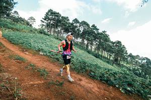 BIB: 
                            <button type="button" onclick="openModal(25508052)" class="btn btn-primary btn-sm float-right btn-popup" data-toggle="modal" data-target=".modal-high-quality">
                        <i class="fas fa-shopping-cart"></i> Add to Cart
                    </button>
                                            <button type="button" onclick="isThisMe(25508052, true)" class="btn btn-success btn-sm float-right btn-popup btn-isme hidden" data-toggle="tooltip" data-placement="bottom" title="นี่คือรูปของคุณใช่ไหม คลิกที่นี่เพื่อเอาเข้าอัลบั้ม">
                        <i class="fas fa-plus"></i> Add to album
                    </button>
                    <button type="button" onclick="isThisMe(25508052, false)" class="btn btn-warning btn-sm float-right btn-popup btn-isnotme hidden">
                        <i class="fas fa-ban"></i> Remove from album
                    </button>