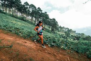 BIB: 
                            <button type="button" onclick="openModal(25505549)" class="btn btn-primary btn-sm float-right btn-popup" data-toggle="modal" data-target=".modal-high-quality">
                        <i class="fas fa-shopping-cart"></i> Add to Cart
                    </button>
                                            <button type="button" onclick="isThisMe(25505549, true)" class="btn btn-success btn-sm float-right btn-popup btn-isme hidden" data-toggle="tooltip" data-placement="bottom" title="นี่คือรูปของคุณใช่ไหม คลิกที่นี่เพื่อเอาเข้าอัลบั้ม">
                        <i class="fas fa-plus"></i> Add to album
                    </button>
                    <button type="button" onclick="isThisMe(25505549, false)" class="btn btn-warning btn-sm float-right btn-popup btn-isnotme hidden">
                        <i class="fas fa-ban"></i> Remove from album
                    </button>