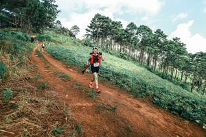 BIB: 
                            <button type="button" onclick="openModal(25509013)" class="btn btn-primary btn-sm float-right btn-popup" data-toggle="modal" data-target=".modal-high-quality">
                        <i class="fas fa-shopping-cart"></i> Add to Cart
                    </button>
                                            <button type="button" onclick="isThisMe(25509013, true)" class="btn btn-success btn-sm float-right btn-popup btn-isme hidden" data-toggle="tooltip" data-placement="bottom" title="นี่คือรูปของคุณใช่ไหม คลิกที่นี่เพื่อเอาเข้าอัลบั้ม">
                        <i class="fas fa-plus"></i> Add to album
                    </button>
                    <button type="button" onclick="isThisMe(25509013, false)" class="btn btn-warning btn-sm float-right btn-popup btn-isnotme hidden">
                        <i class="fas fa-ban"></i> Remove from album
                    </button>