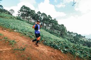 BIB: 
                            <button type="button" onclick="openModal(25506573)" class="btn btn-primary btn-sm float-right btn-popup" data-toggle="modal" data-target=".modal-high-quality">
                        <i class="fas fa-shopping-cart"></i> Add to Cart
                    </button>
                                            <button type="button" onclick="isThisMe(25506573, true)" class="btn btn-success btn-sm float-right btn-popup btn-isme hidden" data-toggle="tooltip" data-placement="bottom" title="นี่คือรูปของคุณใช่ไหม คลิกที่นี่เพื่อเอาเข้าอัลบั้ม">
                        <i class="fas fa-plus"></i> Add to album
                    </button>
                    <button type="button" onclick="isThisMe(25506573, false)" class="btn btn-warning btn-sm float-right btn-popup btn-isnotme hidden">
                        <i class="fas fa-ban"></i> Remove from album
                    </button>