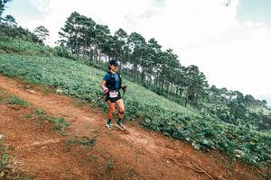 BIB: 
                            <button type="button" onclick="openModal(25506442)" class="btn btn-primary btn-sm float-right btn-popup" data-toggle="modal" data-target=".modal-high-quality">
                        <i class="fas fa-shopping-cart"></i> Add to Cart
                    </button>
                                            <button type="button" onclick="isThisMe(25506442, true)" class="btn btn-success btn-sm float-right btn-popup btn-isme hidden" data-toggle="tooltip" data-placement="bottom" title="นี่คือรูปของคุณใช่ไหม คลิกที่นี่เพื่อเอาเข้าอัลบั้ม">
                        <i class="fas fa-plus"></i> Add to album
                    </button>
                    <button type="button" onclick="isThisMe(25506442, false)" class="btn btn-warning btn-sm float-right btn-popup btn-isnotme hidden">
                        <i class="fas fa-ban"></i> Remove from album
                    </button>