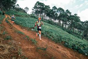 BIB: 
                            <button type="button" onclick="openModal(25520890)" class="btn btn-primary btn-sm float-right btn-popup" data-toggle="modal" data-target=".modal-high-quality">
                        <i class="fas fa-shopping-cart"></i> Add to Cart
                    </button>
                                            <button type="button" onclick="isThisMe(25520890, true)" class="btn btn-success btn-sm float-right btn-popup btn-isme hidden" data-toggle="tooltip" data-placement="bottom" title="นี่คือรูปของคุณใช่ไหม คลิกที่นี่เพื่อเอาเข้าอัลบั้ม">
                        <i class="fas fa-plus"></i> Add to album
                    </button>
                    <button type="button" onclick="isThisMe(25520890, false)" class="btn btn-warning btn-sm float-right btn-popup btn-isnotme hidden">
                        <i class="fas fa-ban"></i> Remove from album
                    </button>