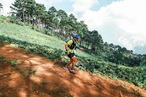 BIB: 
                            <button type="button" onclick="openModal(25532048)" class="btn btn-primary btn-sm float-right btn-popup" data-toggle="modal" data-target=".modal-high-quality">
                        <i class="fas fa-shopping-cart"></i> Add to Cart
                    </button>
                                            <button type="button" onclick="isThisMe(25532048, true)" class="btn btn-success btn-sm float-right btn-popup btn-isme hidden" data-toggle="tooltip" data-placement="bottom" title="นี่คือรูปของคุณใช่ไหม คลิกที่นี่เพื่อเอาเข้าอัลบั้ม">
                        <i class="fas fa-plus"></i> Add to album
                    </button>
                    <button type="button" onclick="isThisMe(25532048, false)" class="btn btn-warning btn-sm float-right btn-popup btn-isnotme hidden">
                        <i class="fas fa-ban"></i> Remove from album
                    </button>