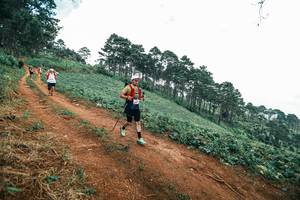 BIB: 
                            <button type="button" onclick="openModal(25524466)" class="btn btn-primary btn-sm float-right btn-popup" data-toggle="modal" data-target=".modal-high-quality">
                        <i class="fas fa-shopping-cart"></i> Add to Cart
                    </button>
                                            <button type="button" onclick="isThisMe(25524466, true)" class="btn btn-success btn-sm float-right btn-popup btn-isme hidden" data-toggle="tooltip" data-placement="bottom" title="นี่คือรูปของคุณใช่ไหม คลิกที่นี่เพื่อเอาเข้าอัลบั้ม">
                        <i class="fas fa-plus"></i> Add to album
                    </button>
                    <button type="button" onclick="isThisMe(25524466, false)" class="btn btn-warning btn-sm float-right btn-popup btn-isnotme hidden">
                        <i class="fas fa-ban"></i> Remove from album
                    </button>