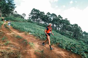 BIB: 
                            <button type="button" onclick="openModal(25522783)" class="btn btn-primary btn-sm float-right btn-popup" data-toggle="modal" data-target=".modal-high-quality">
                        <i class="fas fa-shopping-cart"></i> Add to Cart
                    </button>
                                            <button type="button" onclick="isThisMe(25522783, true)" class="btn btn-success btn-sm float-right btn-popup btn-isme hidden" data-toggle="tooltip" data-placement="bottom" title="นี่คือรูปของคุณใช่ไหม คลิกที่นี่เพื่อเอาเข้าอัลบั้ม">
                        <i class="fas fa-plus"></i> Add to album
                    </button>
                    <button type="button" onclick="isThisMe(25522783, false)" class="btn btn-warning btn-sm float-right btn-popup btn-isnotme hidden">
                        <i class="fas fa-ban"></i> Remove from album
                    </button>