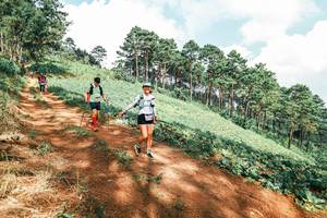 BIB: 
                            <button type="button" onclick="openModal(25531198)" class="btn btn-primary btn-sm float-right btn-popup" data-toggle="modal" data-target=".modal-high-quality">
                        <i class="fas fa-shopping-cart"></i> Add to Cart
                    </button>
                                            <button type="button" onclick="isThisMe(25531198, true)" class="btn btn-success btn-sm float-right btn-popup btn-isme hidden" data-toggle="tooltip" data-placement="bottom" title="นี่คือรูปของคุณใช่ไหม คลิกที่นี่เพื่อเอาเข้าอัลบั้ม">
                        <i class="fas fa-plus"></i> Add to album
                    </button>
                    <button type="button" onclick="isThisMe(25531198, false)" class="btn btn-warning btn-sm float-right btn-popup btn-isnotme hidden">
                        <i class="fas fa-ban"></i> Remove from album
                    </button>