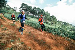 BIB: 
                            <button type="button" onclick="openModal(25522336)" class="btn btn-primary btn-sm float-right btn-popup" data-toggle="modal" data-target=".modal-high-quality">
                        <i class="fas fa-shopping-cart"></i> Add to Cart
                    </button>
                                            <button type="button" onclick="isThisMe(25522336, true)" class="btn btn-success btn-sm float-right btn-popup btn-isme hidden" data-toggle="tooltip" data-placement="bottom" title="นี่คือรูปของคุณใช่ไหม คลิกที่นี่เพื่อเอาเข้าอัลบั้ม">
                        <i class="fas fa-plus"></i> Add to album
                    </button>
                    <button type="button" onclick="isThisMe(25522336, false)" class="btn btn-warning btn-sm float-right btn-popup btn-isnotme hidden">
                        <i class="fas fa-ban"></i> Remove from album
                    </button>