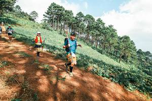 BIB: 
                            <button type="button" onclick="openModal(25529331)" class="btn btn-primary btn-sm float-right btn-popup" data-toggle="modal" data-target=".modal-high-quality">
                        <i class="fas fa-shopping-cart"></i> Add to Cart
                    </button>
                                            <button type="button" onclick="isThisMe(25529331, true)" class="btn btn-success btn-sm float-right btn-popup btn-isme hidden" data-toggle="tooltip" data-placement="bottom" title="นี่คือรูปของคุณใช่ไหม คลิกที่นี่เพื่อเอาเข้าอัลบั้ม">
                        <i class="fas fa-plus"></i> Add to album
                    </button>
                    <button type="button" onclick="isThisMe(25529331, false)" class="btn btn-warning btn-sm float-right btn-popup btn-isnotme hidden">
                        <i class="fas fa-ban"></i> Remove from album
                    </button>