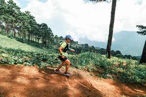 BIB: 
                            <button type="button" onclick="openModal(25532177)" class="btn btn-primary btn-sm float-right btn-popup" data-toggle="modal" data-target=".modal-high-quality">
                        <i class="fas fa-shopping-cart"></i> Add to Cart
                    </button>
                                            <button type="button" onclick="isThisMe(25532177, true)" class="btn btn-success btn-sm float-right btn-popup btn-isme hidden" data-toggle="tooltip" data-placement="bottom" title="นี่คือรูปของคุณใช่ไหม คลิกที่นี่เพื่อเอาเข้าอัลบั้ม">
                        <i class="fas fa-plus"></i> Add to album
                    </button>
                    <button type="button" onclick="isThisMe(25532177, false)" class="btn btn-warning btn-sm float-right btn-popup btn-isnotme hidden">
                        <i class="fas fa-ban"></i> Remove from album
                    </button>