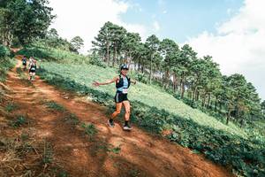 BIB: 
                            <button type="button" onclick="openModal(25529801)" class="btn btn-primary btn-sm float-right btn-popup" data-toggle="modal" data-target=".modal-high-quality">
                        <i class="fas fa-shopping-cart"></i> Add to Cart
                    </button>
                                            <button type="button" onclick="isThisMe(25529801, true)" class="btn btn-success btn-sm float-right btn-popup btn-isme hidden" data-toggle="tooltip" data-placement="bottom" title="นี่คือรูปของคุณใช่ไหม คลิกที่นี่เพื่อเอาเข้าอัลบั้ม">
                        <i class="fas fa-plus"></i> Add to album
                    </button>
                    <button type="button" onclick="isThisMe(25529801, false)" class="btn btn-warning btn-sm float-right btn-popup btn-isnotme hidden">
                        <i class="fas fa-ban"></i> Remove from album
                    </button>