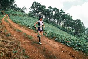 BIB: 
                            <button type="button" onclick="openModal(25533735)" class="btn btn-primary btn-sm float-right btn-popup" data-toggle="modal" data-target=".modal-high-quality">
                        <i class="fas fa-shopping-cart"></i> Add to Cart
                    </button>
                                            <button type="button" onclick="isThisMe(25533735, true)" class="btn btn-success btn-sm float-right btn-popup btn-isme hidden" data-toggle="tooltip" data-placement="bottom" title="นี่คือรูปของคุณใช่ไหม คลิกที่นี่เพื่อเอาเข้าอัลบั้ม">
                        <i class="fas fa-plus"></i> Add to album
                    </button>
                    <button type="button" onclick="isThisMe(25533735, false)" class="btn btn-warning btn-sm float-right btn-popup btn-isnotme hidden">
                        <i class="fas fa-ban"></i> Remove from album
                    </button>