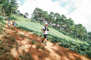 BIB: 
                            <button type="button" onclick="openModal(25524936)" class="btn btn-primary btn-sm float-right btn-popup" data-toggle="modal" data-target=".modal-high-quality">
                        <i class="fas fa-shopping-cart"></i> Add to Cart
                    </button>
                                            <button type="button" onclick="isThisMe(25524936, true)" class="btn btn-success btn-sm float-right btn-popup btn-isme hidden" data-toggle="tooltip" data-placement="bottom" title="นี่คือรูปของคุณใช่ไหม คลิกที่นี่เพื่อเอาเข้าอัลบั้ม">
                        <i class="fas fa-plus"></i> Add to album
                    </button>
                    <button type="button" onclick="isThisMe(25524936, false)" class="btn btn-warning btn-sm float-right btn-popup btn-isnotme hidden">
                        <i class="fas fa-ban"></i> Remove from album
                    </button>