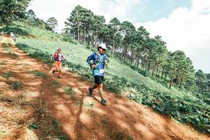 BIB: 
                            <button type="button" onclick="openModal(25528490)" class="btn btn-primary btn-sm float-right btn-popup" data-toggle="modal" data-target=".modal-high-quality">
                        <i class="fas fa-shopping-cart"></i> Add to Cart
                    </button>
                                            <button type="button" onclick="isThisMe(25528490, true)" class="btn btn-success btn-sm float-right btn-popup btn-isme hidden" data-toggle="tooltip" data-placement="bottom" title="นี่คือรูปของคุณใช่ไหม คลิกที่นี่เพื่อเอาเข้าอัลบั้ม">
                        <i class="fas fa-plus"></i> Add to album
                    </button>
                    <button type="button" onclick="isThisMe(25528490, false)" class="btn btn-warning btn-sm float-right btn-popup btn-isnotme hidden">
                        <i class="fas fa-ban"></i> Remove from album
                    </button>