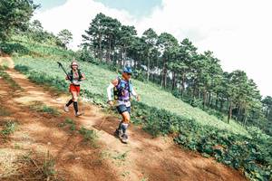 BIB: 
                            <button type="button" onclick="openModal(25523443)" class="btn btn-primary btn-sm float-right btn-popup" data-toggle="modal" data-target=".modal-high-quality">
                        <i class="fas fa-shopping-cart"></i> Add to Cart
                    </button>
                                            <button type="button" onclick="isThisMe(25523443, true)" class="btn btn-success btn-sm float-right btn-popup btn-isme hidden" data-toggle="tooltip" data-placement="bottom" title="นี่คือรูปของคุณใช่ไหม คลิกที่นี่เพื่อเอาเข้าอัลบั้ม">
                        <i class="fas fa-plus"></i> Add to album
                    </button>
                    <button type="button" onclick="isThisMe(25523443, false)" class="btn btn-warning btn-sm float-right btn-popup btn-isnotme hidden">
                        <i class="fas fa-ban"></i> Remove from album
                    </button>