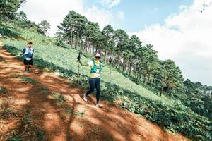 BIB: 
                            <button type="button" onclick="openModal(25529088)" class="btn btn-primary btn-sm float-right btn-popup" data-toggle="modal" data-target=".modal-high-quality">
                        <i class="fas fa-shopping-cart"></i> Add to Cart
                    </button>
                                            <button type="button" onclick="isThisMe(25529088, true)" class="btn btn-success btn-sm float-right btn-popup btn-isme hidden" data-toggle="tooltip" data-placement="bottom" title="นี่คือรูปของคุณใช่ไหม คลิกที่นี่เพื่อเอาเข้าอัลบั้ม">
                        <i class="fas fa-plus"></i> Add to album
                    </button>
                    <button type="button" onclick="isThisMe(25529088, false)" class="btn btn-warning btn-sm float-right btn-popup btn-isnotme hidden">
                        <i class="fas fa-ban"></i> Remove from album
                    </button>