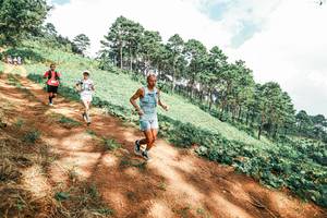 BIB: 
                            <button type="button" onclick="openModal(25524966)" class="btn btn-primary btn-sm float-right btn-popup" data-toggle="modal" data-target=".modal-high-quality">
                        <i class="fas fa-shopping-cart"></i> Add to Cart
                    </button>
                                            <button type="button" onclick="isThisMe(25524966, true)" class="btn btn-success btn-sm float-right btn-popup btn-isme hidden" data-toggle="tooltip" data-placement="bottom" title="นี่คือรูปของคุณใช่ไหม คลิกที่นี่เพื่อเอาเข้าอัลบั้ม">
                        <i class="fas fa-plus"></i> Add to album
                    </button>
                    <button type="button" onclick="isThisMe(25524966, false)" class="btn btn-warning btn-sm float-right btn-popup btn-isnotme hidden">
                        <i class="fas fa-ban"></i> Remove from album
                    </button>