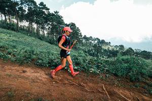 BIB: 
                            <button type="button" onclick="openModal(25520825)" class="btn btn-primary btn-sm float-right btn-popup" data-toggle="modal" data-target=".modal-high-quality">
                        <i class="fas fa-shopping-cart"></i> Add to Cart
                    </button>
                                            <button type="button" onclick="isThisMe(25520825, true)" class="btn btn-success btn-sm float-right btn-popup btn-isme hidden" data-toggle="tooltip" data-placement="bottom" title="นี่คือรูปของคุณใช่ไหม คลิกที่นี่เพื่อเอาเข้าอัลบั้ม">
                        <i class="fas fa-plus"></i> Add to album
                    </button>
                    <button type="button" onclick="isThisMe(25520825, false)" class="btn btn-warning btn-sm float-right btn-popup btn-isnotme hidden">
                        <i class="fas fa-ban"></i> Remove from album
                    </button>