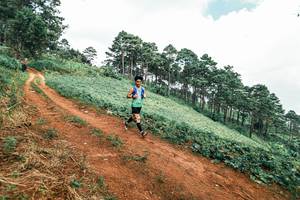 BIB: 
                            <button type="button" onclick="openModal(25525851)" class="btn btn-primary btn-sm float-right btn-popup" data-toggle="modal" data-target=".modal-high-quality">
                        <i class="fas fa-shopping-cart"></i> Add to Cart
                    </button>
                                            <button type="button" onclick="isThisMe(25525851, true)" class="btn btn-success btn-sm float-right btn-popup btn-isme hidden" data-toggle="tooltip" data-placement="bottom" title="นี่คือรูปของคุณใช่ไหม คลิกที่นี่เพื่อเอาเข้าอัลบั้ม">
                        <i class="fas fa-plus"></i> Add to album
                    </button>
                    <button type="button" onclick="isThisMe(25525851, false)" class="btn btn-warning btn-sm float-right btn-popup btn-isnotme hidden">
                        <i class="fas fa-ban"></i> Remove from album
                    </button>