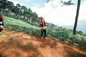 BIB: 
                            <button type="button" onclick="openModal(25522375)" class="btn btn-primary btn-sm float-right btn-popup" data-toggle="modal" data-target=".modal-high-quality">
                        <i class="fas fa-shopping-cart"></i> Add to Cart
                    </button>
                                            <button type="button" onclick="isThisMe(25522375, true)" class="btn btn-success btn-sm float-right btn-popup btn-isme hidden" data-toggle="tooltip" data-placement="bottom" title="นี่คือรูปของคุณใช่ไหม คลิกที่นี่เพื่อเอาเข้าอัลบั้ม">
                        <i class="fas fa-plus"></i> Add to album
                    </button>
                    <button type="button" onclick="isThisMe(25522375, false)" class="btn btn-warning btn-sm float-right btn-popup btn-isnotme hidden">
                        <i class="fas fa-ban"></i> Remove from album
                    </button>