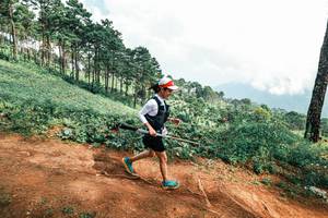 BIB: 
                            <button type="button" onclick="openModal(25527480)" class="btn btn-primary btn-sm float-right btn-popup" data-toggle="modal" data-target=".modal-high-quality">
                        <i class="fas fa-shopping-cart"></i> Add to Cart
                    </button>
                                            <button type="button" onclick="isThisMe(25527480, true)" class="btn btn-success btn-sm float-right btn-popup btn-isme hidden" data-toggle="tooltip" data-placement="bottom" title="นี่คือรูปของคุณใช่ไหม คลิกที่นี่เพื่อเอาเข้าอัลบั้ม">
                        <i class="fas fa-plus"></i> Add to album
                    </button>
                    <button type="button" onclick="isThisMe(25527480, false)" class="btn btn-warning btn-sm float-right btn-popup btn-isnotme hidden">
                        <i class="fas fa-ban"></i> Remove from album
                    </button>