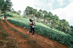 BIB: 
                            <button type="button" onclick="openModal(25527955)" class="btn btn-primary btn-sm float-right btn-popup" data-toggle="modal" data-target=".modal-high-quality">
                        <i class="fas fa-shopping-cart"></i> Add to Cart
                    </button>
                                            <button type="button" onclick="isThisMe(25527955, true)" class="btn btn-success btn-sm float-right btn-popup btn-isme hidden" data-toggle="tooltip" data-placement="bottom" title="นี่คือรูปของคุณใช่ไหม คลิกที่นี่เพื่อเอาเข้าอัลบั้ม">
                        <i class="fas fa-plus"></i> Add to album
                    </button>
                    <button type="button" onclick="isThisMe(25527955, false)" class="btn btn-warning btn-sm float-right btn-popup btn-isnotme hidden">
                        <i class="fas fa-ban"></i> Remove from album
                    </button>