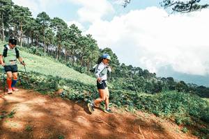 BIB: 
                            <button type="button" onclick="openModal(25531262)" class="btn btn-primary btn-sm float-right btn-popup" data-toggle="modal" data-target=".modal-high-quality">
                        <i class="fas fa-shopping-cart"></i> Add to Cart
                    </button>
                                            <button type="button" onclick="isThisMe(25531262, true)" class="btn btn-success btn-sm float-right btn-popup btn-isme hidden" data-toggle="tooltip" data-placement="bottom" title="นี่คือรูปของคุณใช่ไหม คลิกที่นี่เพื่อเอาเข้าอัลบั้ม">
                        <i class="fas fa-plus"></i> Add to album
                    </button>
                    <button type="button" onclick="isThisMe(25531262, false)" class="btn btn-warning btn-sm float-right btn-popup btn-isnotme hidden">
                        <i class="fas fa-ban"></i> Remove from album
                    </button>