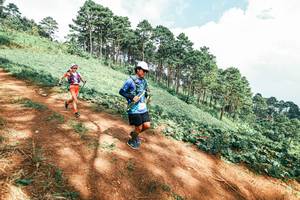 BIB: 
                            <button type="button" onclick="openModal(25528500)" class="btn btn-primary btn-sm float-right btn-popup" data-toggle="modal" data-target=".modal-high-quality">
                        <i class="fas fa-shopping-cart"></i> Add to Cart
                    </button>
                                            <button type="button" onclick="isThisMe(25528500, true)" class="btn btn-success btn-sm float-right btn-popup btn-isme hidden" data-toggle="tooltip" data-placement="bottom" title="นี่คือรูปของคุณใช่ไหม คลิกที่นี่เพื่อเอาเข้าอัลบั้ม">
                        <i class="fas fa-plus"></i> Add to album
                    </button>
                    <button type="button" onclick="isThisMe(25528500, false)" class="btn btn-warning btn-sm float-right btn-popup btn-isnotme hidden">
                        <i class="fas fa-ban"></i> Remove from album
                    </button>