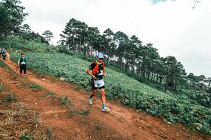 BIB: 
                            <button type="button" onclick="openModal(25525544)" class="btn btn-primary btn-sm float-right btn-popup" data-toggle="modal" data-target=".modal-high-quality">
                        <i class="fas fa-shopping-cart"></i> Add to Cart
                    </button>
                                            <button type="button" onclick="isThisMe(25525544, true)" class="btn btn-success btn-sm float-right btn-popup btn-isme hidden" data-toggle="tooltip" data-placement="bottom" title="นี่คือรูปของคุณใช่ไหม คลิกที่นี่เพื่อเอาเข้าอัลบั้ม">
                        <i class="fas fa-plus"></i> Add to album
                    </button>
                    <button type="button" onclick="isThisMe(25525544, false)" class="btn btn-warning btn-sm float-right btn-popup btn-isnotme hidden">
                        <i class="fas fa-ban"></i> Remove from album
                    </button>