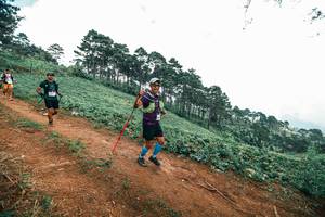 BIB: 
                            <button type="button" onclick="openModal(25524534)" class="btn btn-primary btn-sm float-right btn-popup" data-toggle="modal" data-target=".modal-high-quality">
                        <i class="fas fa-shopping-cart"></i> Add to Cart
                    </button>
                                            <button type="button" onclick="isThisMe(25524534, true)" class="btn btn-success btn-sm float-right btn-popup btn-isme hidden" data-toggle="tooltip" data-placement="bottom" title="นี่คือรูปของคุณใช่ไหม คลิกที่นี่เพื่อเอาเข้าอัลบั้ม">
                        <i class="fas fa-plus"></i> Add to album
                    </button>
                    <button type="button" onclick="isThisMe(25524534, false)" class="btn btn-warning btn-sm float-right btn-popup btn-isnotme hidden">
                        <i class="fas fa-ban"></i> Remove from album
                    </button>