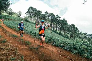 BIB: 
                            <button type="button" onclick="openModal(25525082)" class="btn btn-primary btn-sm float-right btn-popup" data-toggle="modal" data-target=".modal-high-quality">
                        <i class="fas fa-shopping-cart"></i> Add to Cart
                    </button>
                                            <button type="button" onclick="isThisMe(25525082, true)" class="btn btn-success btn-sm float-right btn-popup btn-isme hidden" data-toggle="tooltip" data-placement="bottom" title="นี่คือรูปของคุณใช่ไหม คลิกที่นี่เพื่อเอาเข้าอัลบั้ม">
                        <i class="fas fa-plus"></i> Add to album
                    </button>
                    <button type="button" onclick="isThisMe(25525082, false)" class="btn btn-warning btn-sm float-right btn-popup btn-isnotme hidden">
                        <i class="fas fa-ban"></i> Remove from album
                    </button>