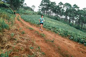 BIB: 
                            <button type="button" onclick="openModal(25525335)" class="btn btn-primary btn-sm float-right btn-popup" data-toggle="modal" data-target=".modal-high-quality">
                        <i class="fas fa-shopping-cart"></i> Add to Cart
                    </button>
                                            <button type="button" onclick="isThisMe(25525335, true)" class="btn btn-success btn-sm float-right btn-popup btn-isme hidden" data-toggle="tooltip" data-placement="bottom" title="นี่คือรูปของคุณใช่ไหม คลิกที่นี่เพื่อเอาเข้าอัลบั้ม">
                        <i class="fas fa-plus"></i> Add to album
                    </button>
                    <button type="button" onclick="isThisMe(25525335, false)" class="btn btn-warning btn-sm float-right btn-popup btn-isnotme hidden">
                        <i class="fas fa-ban"></i> Remove from album
                    </button>