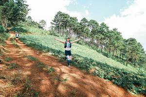 BIB: 
                            <button type="button" onclick="openModal(25529681)" class="btn btn-primary btn-sm float-right btn-popup" data-toggle="modal" data-target=".modal-high-quality">
                        <i class="fas fa-shopping-cart"></i> Add to Cart
                    </button>
                                            <button type="button" onclick="isThisMe(25529681, true)" class="btn btn-success btn-sm float-right btn-popup btn-isme hidden" data-toggle="tooltip" data-placement="bottom" title="นี่คือรูปของคุณใช่ไหม คลิกที่นี่เพื่อเอาเข้าอัลบั้ม">
                        <i class="fas fa-plus"></i> Add to album
                    </button>
                    <button type="button" onclick="isThisMe(25529681, false)" class="btn btn-warning btn-sm float-right btn-popup btn-isnotme hidden">
                        <i class="fas fa-ban"></i> Remove from album
                    </button>