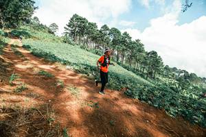 BIB: 
                            <button type="button" onclick="openModal(25522575)" class="btn btn-primary btn-sm float-right btn-popup" data-toggle="modal" data-target=".modal-high-quality">
                        <i class="fas fa-shopping-cart"></i> Add to Cart
                    </button>
                                            <button type="button" onclick="isThisMe(25522575, true)" class="btn btn-success btn-sm float-right btn-popup btn-isme hidden" data-toggle="tooltip" data-placement="bottom" title="นี่คือรูปของคุณใช่ไหม คลิกที่นี่เพื่อเอาเข้าอัลบั้ม">
                        <i class="fas fa-plus"></i> Add to album
                    </button>
                    <button type="button" onclick="isThisMe(25522575, false)" class="btn btn-warning btn-sm float-right btn-popup btn-isnotme hidden">
                        <i class="fas fa-ban"></i> Remove from album
                    </button>