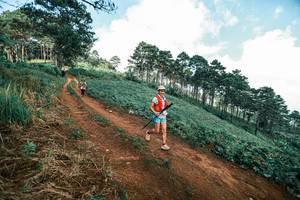 BIB: 
                            <button type="button" onclick="openModal(25522695)" class="btn btn-primary btn-sm float-right btn-popup" data-toggle="modal" data-target=".modal-high-quality">
                        <i class="fas fa-shopping-cart"></i> Add to Cart
                    </button>
                                            <button type="button" onclick="isThisMe(25522695, true)" class="btn btn-success btn-sm float-right btn-popup btn-isme hidden" data-toggle="tooltip" data-placement="bottom" title="นี่คือรูปของคุณใช่ไหม คลิกที่นี่เพื่อเอาเข้าอัลบั้ม">
                        <i class="fas fa-plus"></i> Add to album
                    </button>
                    <button type="button" onclick="isThisMe(25522695, false)" class="btn btn-warning btn-sm float-right btn-popup btn-isnotme hidden">
                        <i class="fas fa-ban"></i> Remove from album
                    </button>