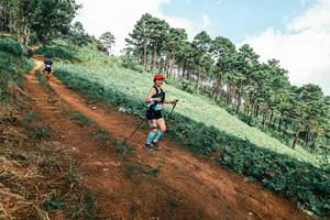 BIB: 
                            <button type="button" onclick="openModal(25529854)" class="btn btn-primary btn-sm float-right btn-popup" data-toggle="modal" data-target=".modal-high-quality">
                        <i class="fas fa-shopping-cart"></i> Add to Cart
                    </button>
                                            <button type="button" onclick="isThisMe(25529854, true)" class="btn btn-success btn-sm float-right btn-popup btn-isme hidden" data-toggle="tooltip" data-placement="bottom" title="นี่คือรูปของคุณใช่ไหม คลิกที่นี่เพื่อเอาเข้าอัลบั้ม">
                        <i class="fas fa-plus"></i> Add to album
                    </button>
                    <button type="button" onclick="isThisMe(25529854, false)" class="btn btn-warning btn-sm float-right btn-popup btn-isnotme hidden">
                        <i class="fas fa-ban"></i> Remove from album
                    </button>