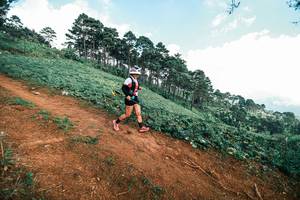 BIB: 
                            <button type="button" onclick="openModal(25520338)" class="btn btn-primary btn-sm float-right btn-popup" data-toggle="modal" data-target=".modal-high-quality">
                        <i class="fas fa-shopping-cart"></i> Add to Cart
                    </button>
                                            <button type="button" onclick="isThisMe(25520338, true)" class="btn btn-success btn-sm float-right btn-popup btn-isme hidden" data-toggle="tooltip" data-placement="bottom" title="นี่คือรูปของคุณใช่ไหม คลิกที่นี่เพื่อเอาเข้าอัลบั้ม">
                        <i class="fas fa-plus"></i> Add to album
                    </button>
                    <button type="button" onclick="isThisMe(25520338, false)" class="btn btn-warning btn-sm float-right btn-popup btn-isnotme hidden">
                        <i class="fas fa-ban"></i> Remove from album
                    </button>