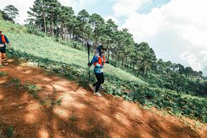 BIB: 
                            <button type="button" onclick="openModal(25531701)" class="btn btn-primary btn-sm float-right btn-popup" data-toggle="modal" data-target=".modal-high-quality">
                        <i class="fas fa-shopping-cart"></i> Add to Cart
                    </button>
                                            <button type="button" onclick="isThisMe(25531701, true)" class="btn btn-success btn-sm float-right btn-popup btn-isme hidden" data-toggle="tooltip" data-placement="bottom" title="นี่คือรูปของคุณใช่ไหม คลิกที่นี่เพื่อเอาเข้าอัลบั้ม">
                        <i class="fas fa-plus"></i> Add to album
                    </button>
                    <button type="button" onclick="isThisMe(25531701, false)" class="btn btn-warning btn-sm float-right btn-popup btn-isnotme hidden">
                        <i class="fas fa-ban"></i> Remove from album
                    </button>