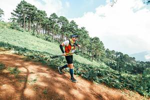 BIB: 
                            <button type="button" onclick="openModal(25528795)" class="btn btn-primary btn-sm float-right btn-popup" data-toggle="modal" data-target=".modal-high-quality">
                        <i class="fas fa-shopping-cart"></i> Add to Cart
                    </button>
                                            <button type="button" onclick="isThisMe(25528795, true)" class="btn btn-success btn-sm float-right btn-popup btn-isme hidden" data-toggle="tooltip" data-placement="bottom" title="นี่คือรูปของคุณใช่ไหม คลิกที่นี่เพื่อเอาเข้าอัลบั้ม">
                        <i class="fas fa-plus"></i> Add to album
                    </button>
                    <button type="button" onclick="isThisMe(25528795, false)" class="btn btn-warning btn-sm float-right btn-popup btn-isnotme hidden">
                        <i class="fas fa-ban"></i> Remove from album
                    </button>